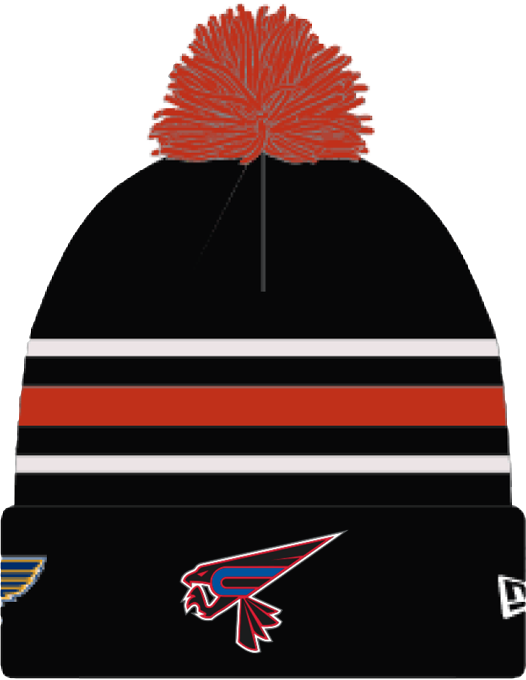 2024 CHESTERFIELD FALCONS NEW ERA KNIT HAT Knit STL Authentics