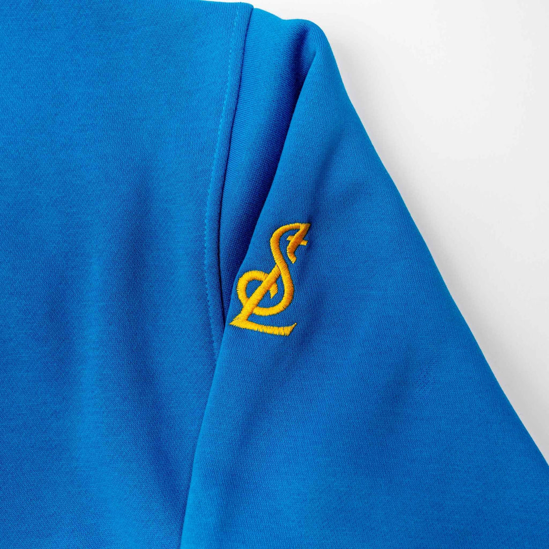 STL BLUES FLEUR COLORBLOCK HOODIE
